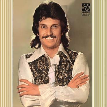 Özdemir Erdoğan - Yorumcu Plak (kayıt)