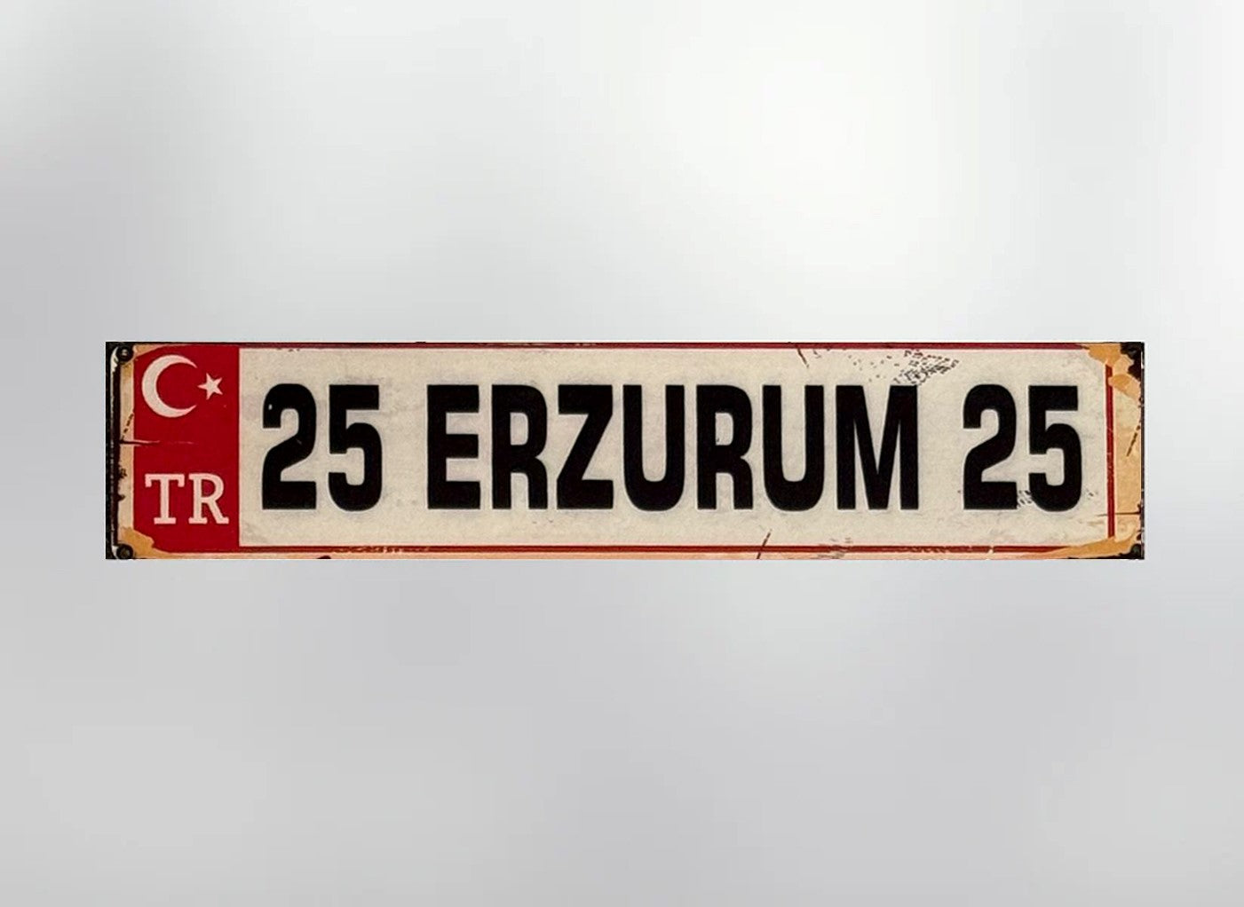 25 Erzurum Plaka / Kennzeichen