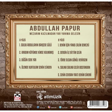 Abdullah Papur - Mezarım Kazılmadan Yar Yanıma Gelesin ( Plak ) LP