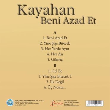 Kayahan - Siyah Işıklar Plak (kayıt)