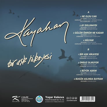 Özdemir Erdoğan - Yorumcu Plak (kayıt)