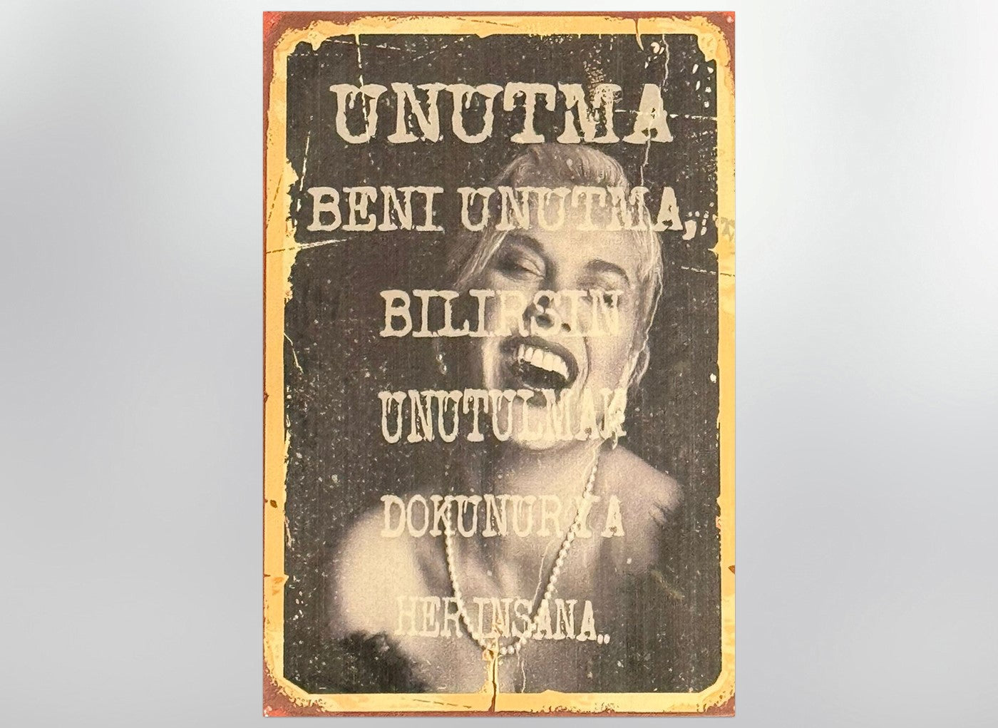 Sezen Aksu Kaybolan Yıllar Retro Ahsap Posteri