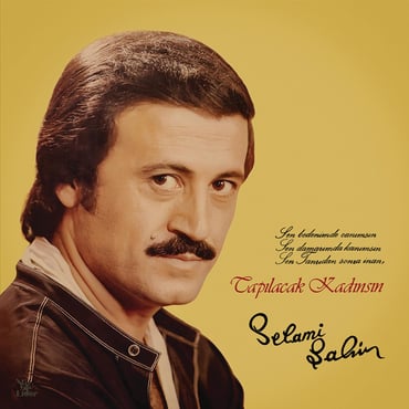 Selami Şahin - Tapılacak Kadınsın (Plak) (plak)