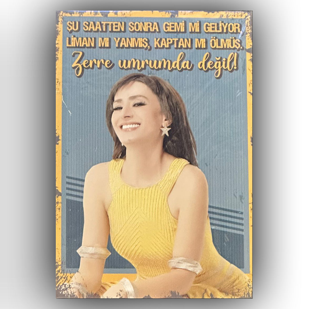 Yıldız Tilbe Zerre Umrumda Degil Retro Ahsap Posteri