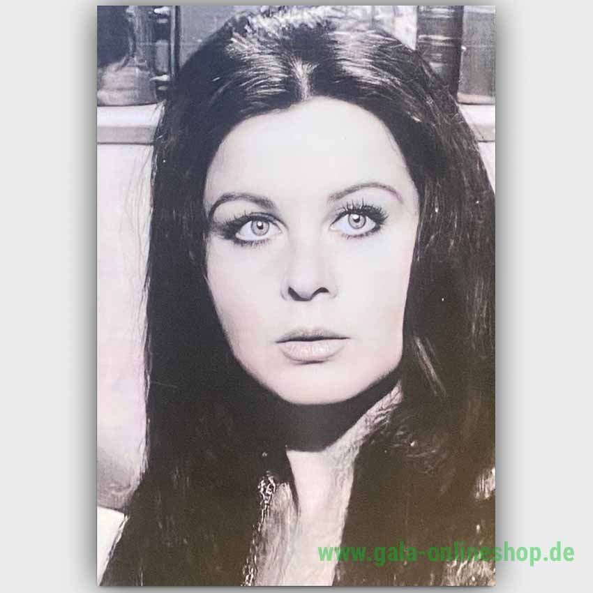 Fatma Girik Retro Ahsap Posteri