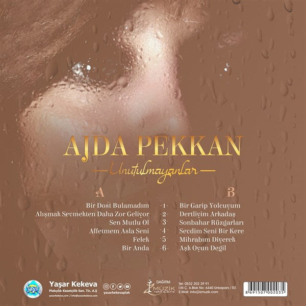 Ajda Pekkan - Unutulmayanlar Plak ( Schallplatte )