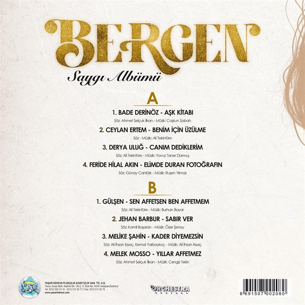 Bergen - Bergen Saygı Albümü Plak (plak)