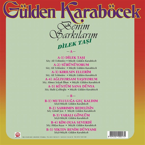 Gülden Karaböcek - Dilek Taşı Plak (plak)