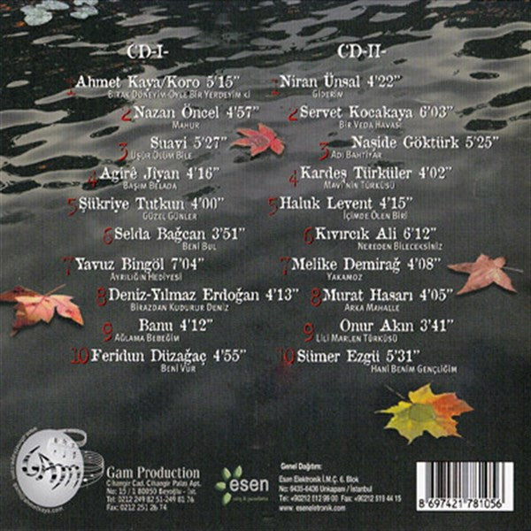 Ahmet Kaya - Dinle Sevgili Ülkem (2 CD)