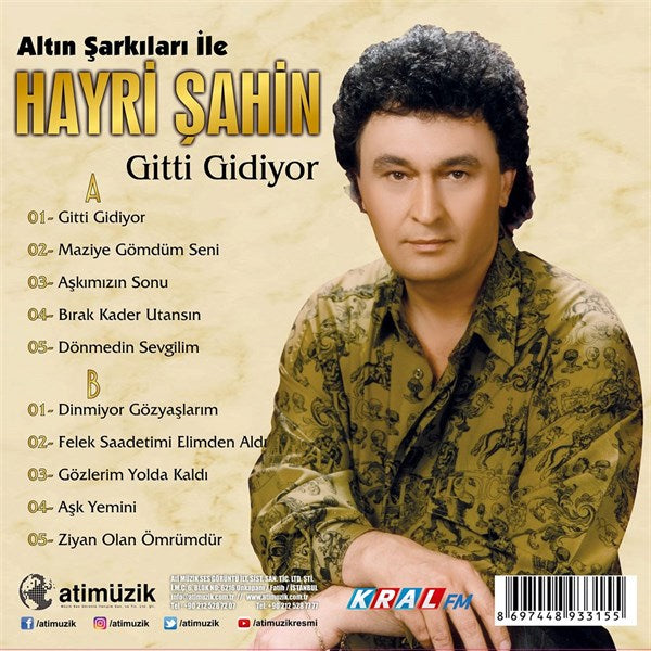 Hayri Şahin Gitti Gidiyor Plak (kayıt)