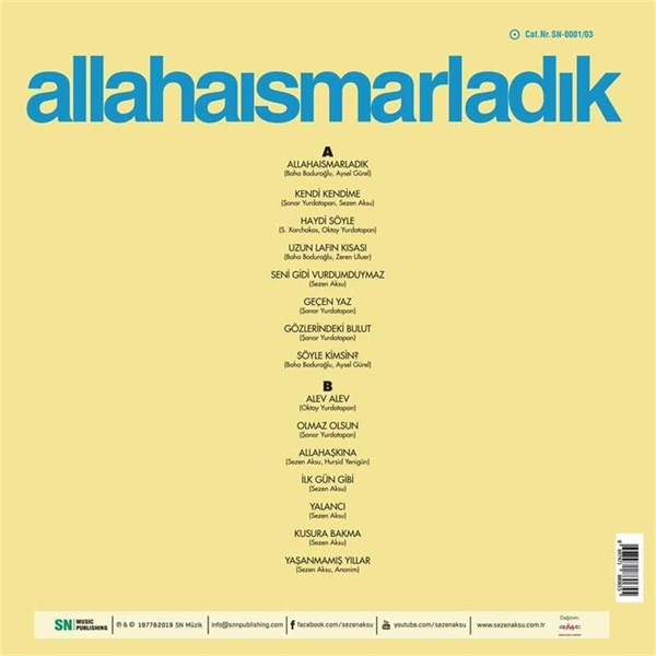 Sezen Aksu - Allahaismarladik Plak ( Schallplatte )