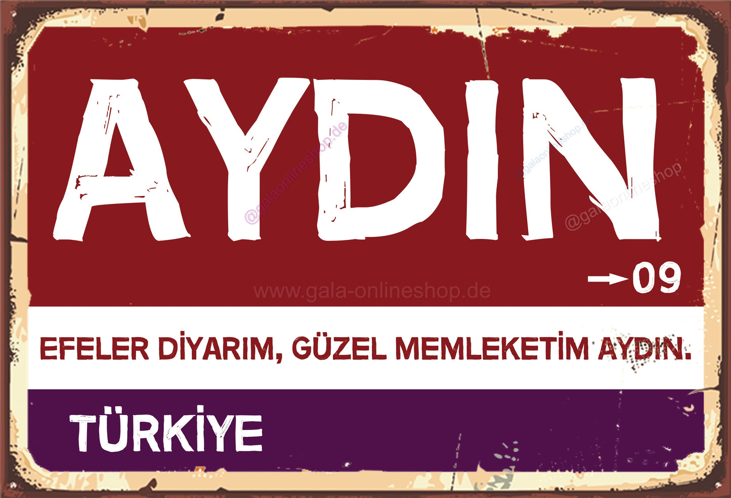 09 Aydin Şehir Tabela