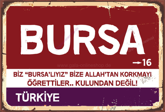 16 Bursa Şehir Tabela