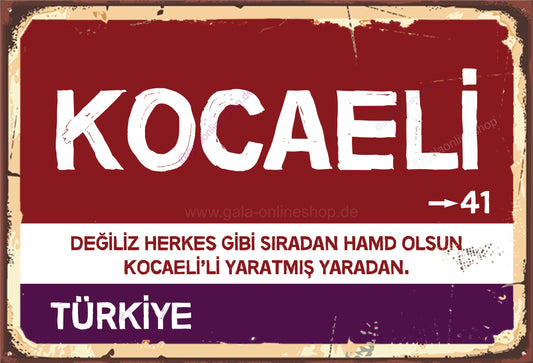 41 Kocaeli Şehir Tablosu