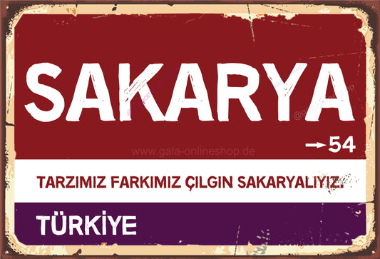 54 Sakarya Şehir Tabela