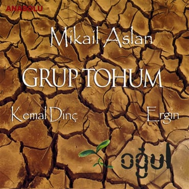 Grup Tohum (Mikail Aslan, Kemal Dinç, Ergin) - Oğul (CD)