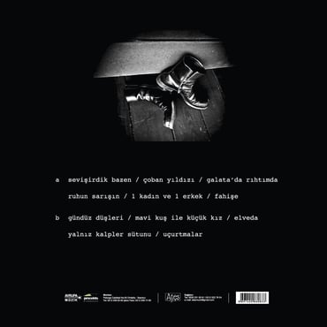 Teoman - İnsanlık Halleri (Plak) LP