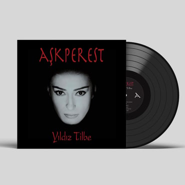 Yıldız Tilbe - Aşkperest (Plak) LP