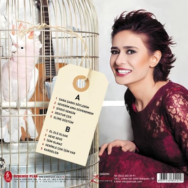 Yıldız Tilbe - Şivesi Sensin Aşkın (Plak) LP