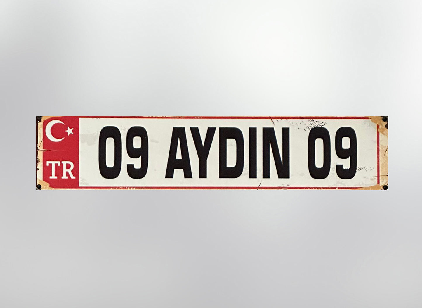09 Aydin Plaka / Kennzeichen