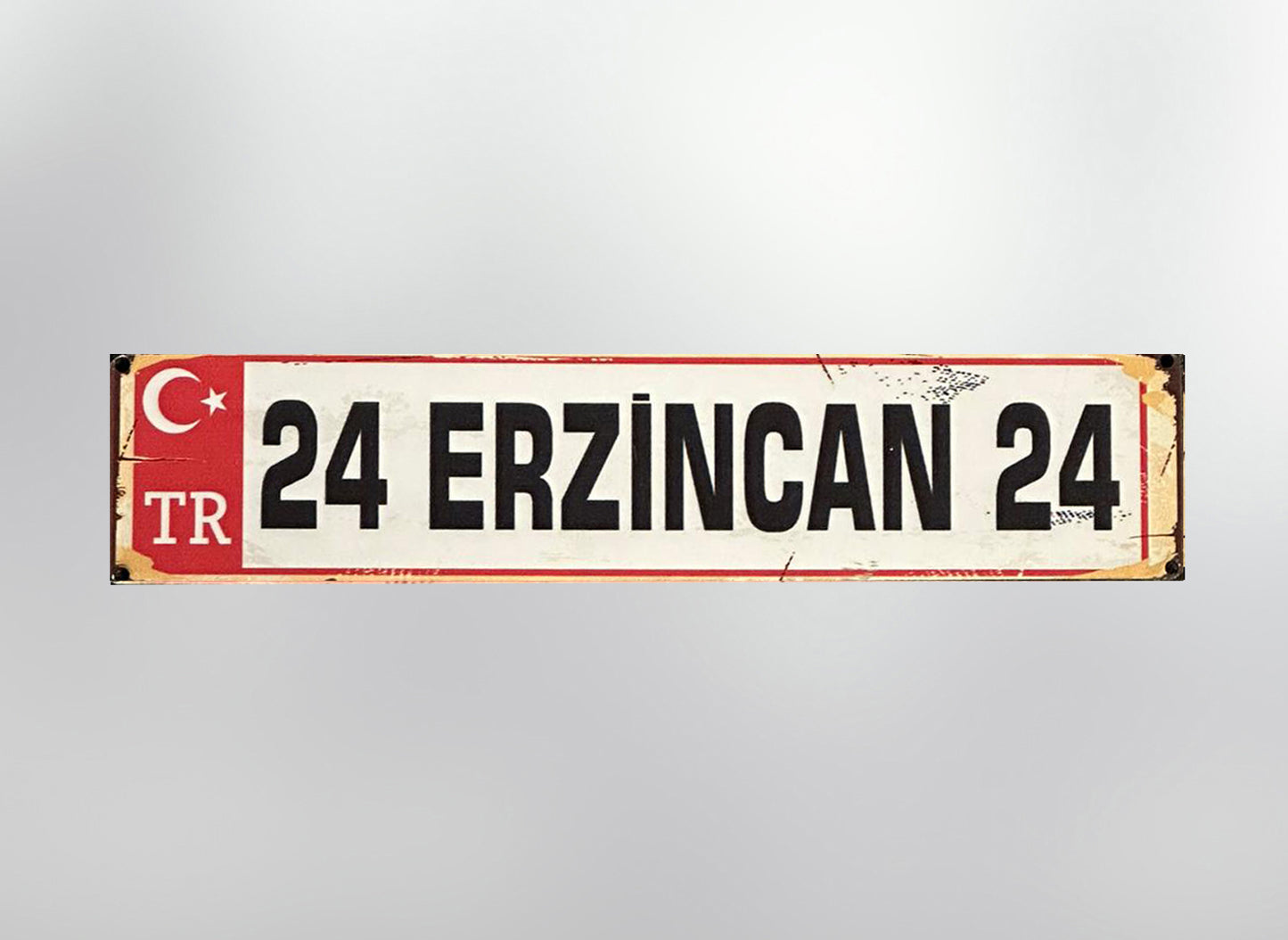 24 Erzincan Plaka / Kennzeichen