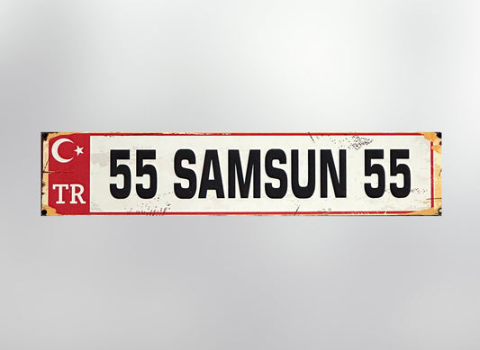 55 Samsun Plaka / Kennzeichen