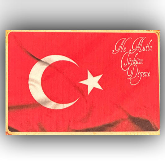 Türkiye 2 Retro Ahsap Poster