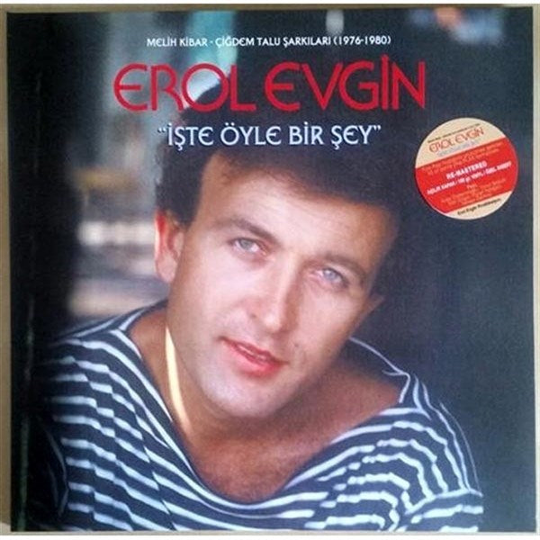 Erol Evgin - Iste Öyle Bir Sey Plak ( Schallplatte )