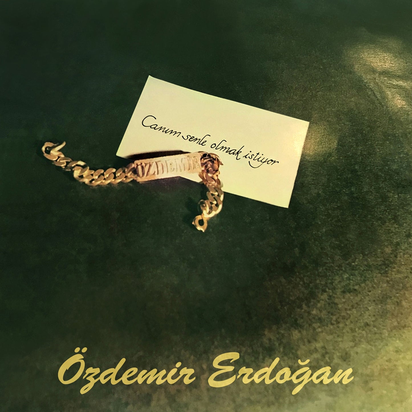 Özdemir Erdogan - Canım Senle Olmak İstiyor / Plak