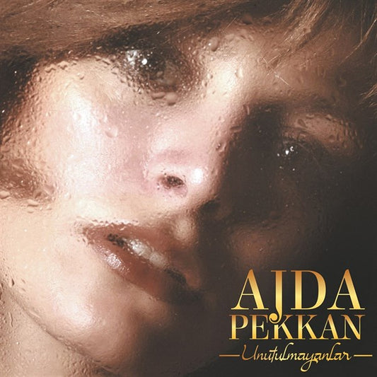 Ajda Pekkan - Unutulmayanlar Plak ( Schallplatte )
