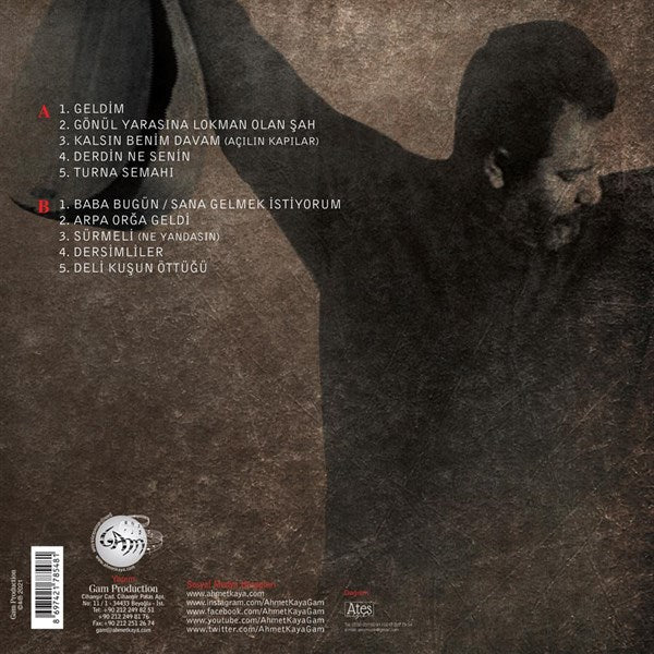 Ahmet Kaya - Kalsin Benim Davam Plak ( Schallplatte )