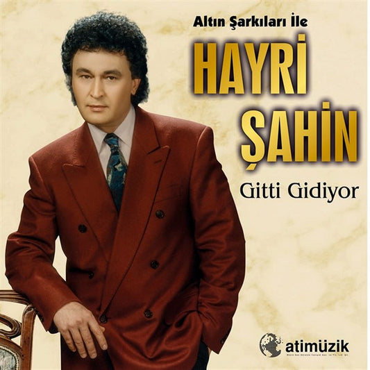 Hayri Sahin Gitti Gidiyor Plak ( Schallplatte )