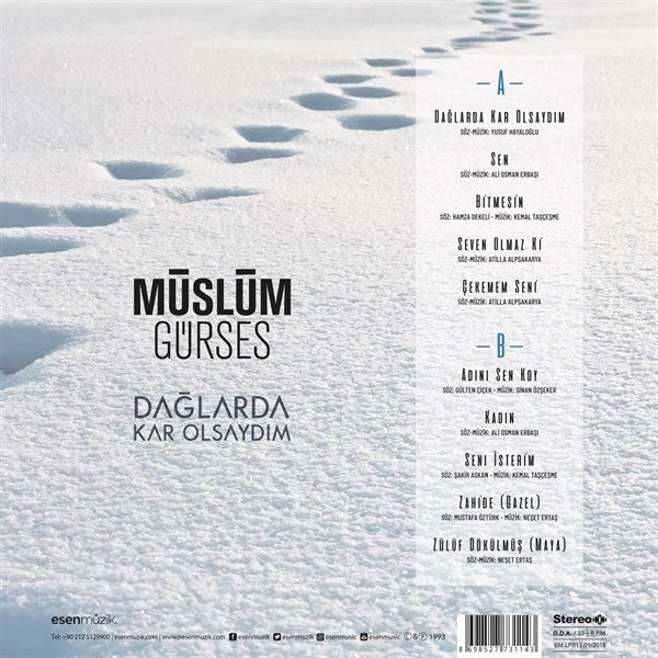 Müslüm Gürses - Dağlarda Kar Olsaydım Plak ( Schallplatte )
